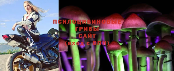 СК Магадан